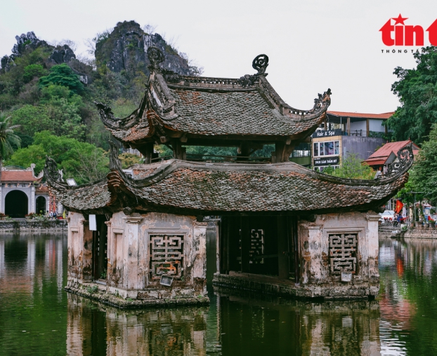 Họ Đào Đức - Đa Phúc